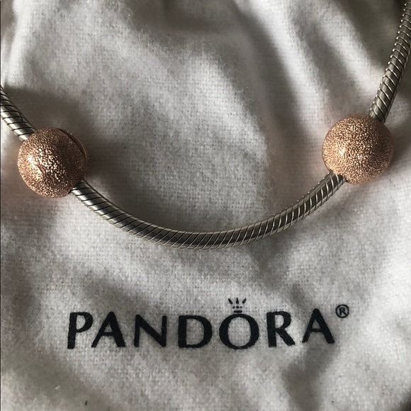 Rose Gold Matte Brilliance Clips - Picture 4 of 6